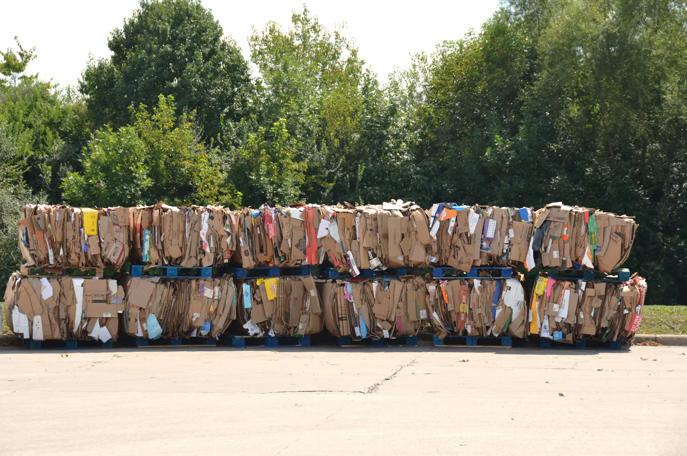 Stacked bales of compressed corrugated cardboard on pallets